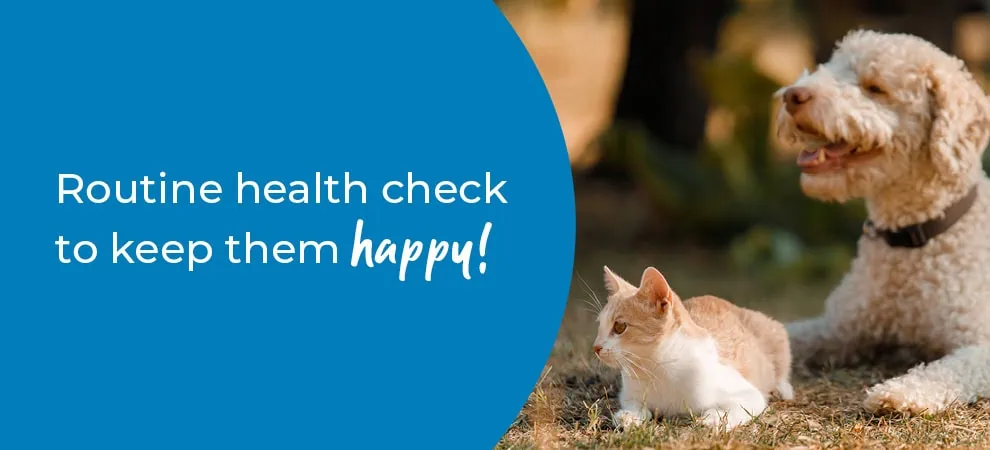 Pet Health Check in East Ridings, Yorkshire | Preventative Vet Care