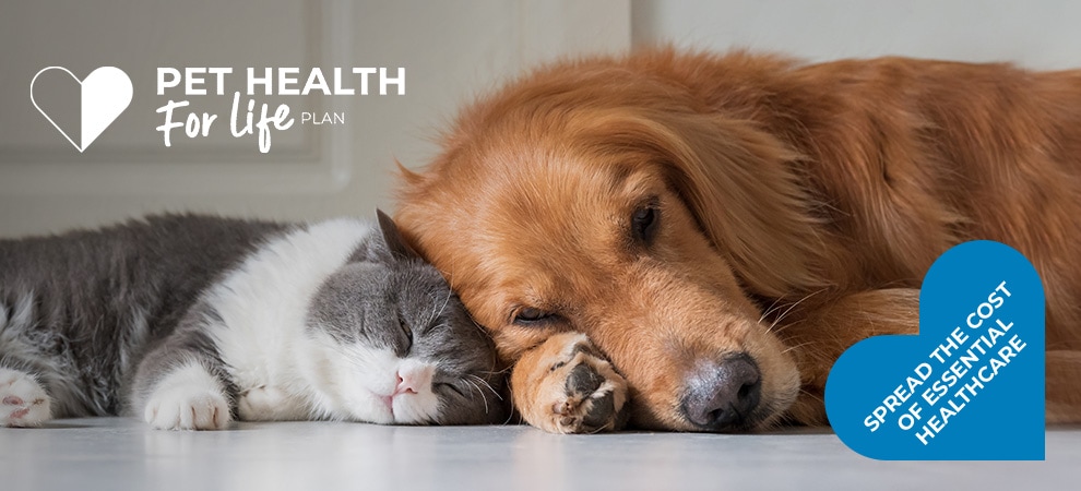 Pet Health Plan from Gables Vets